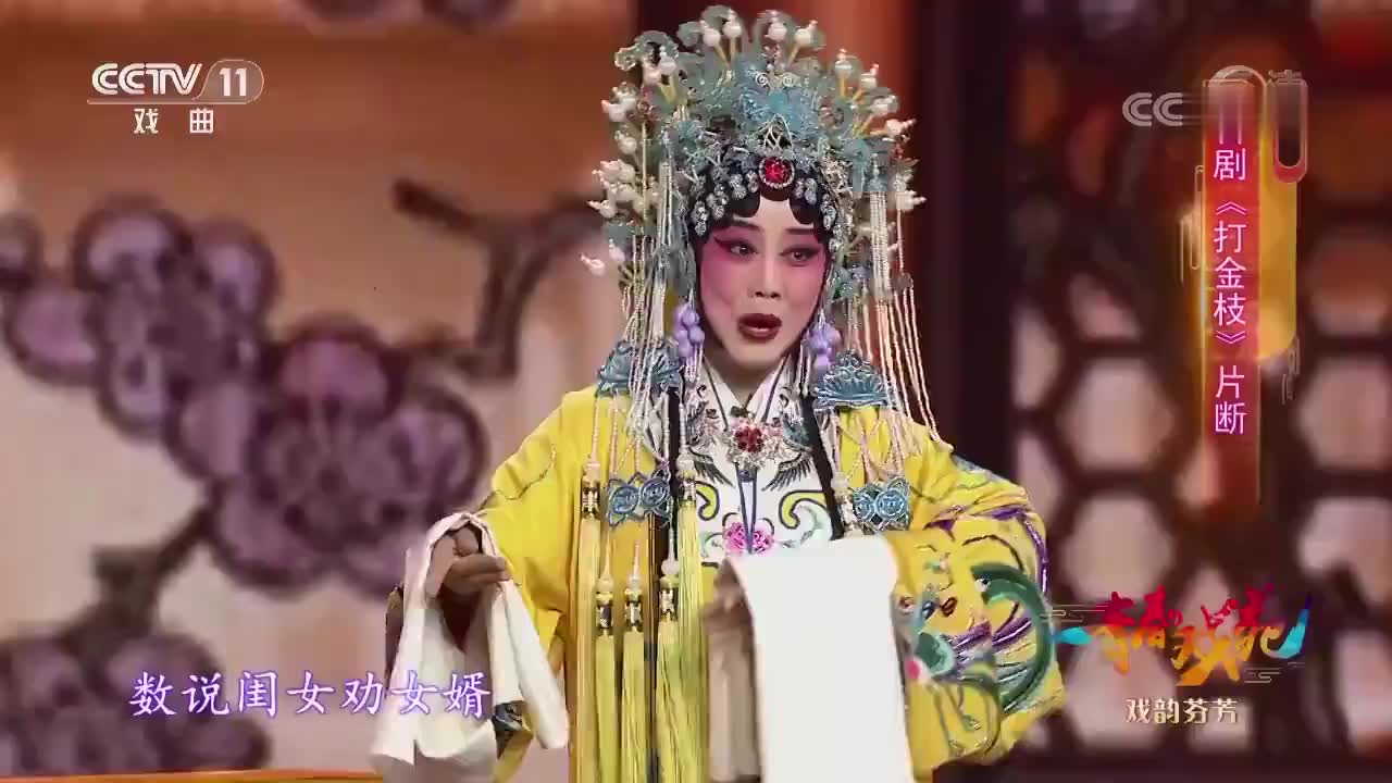 刘忠河王凤银演唱豫剧《打金枝》选段,大师唱腔韵味十足