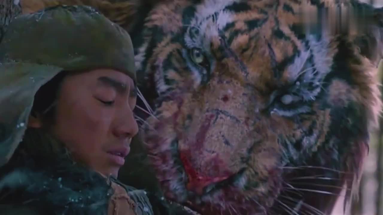 大虎好事儿来了,说媒的来了!哈哈哈!