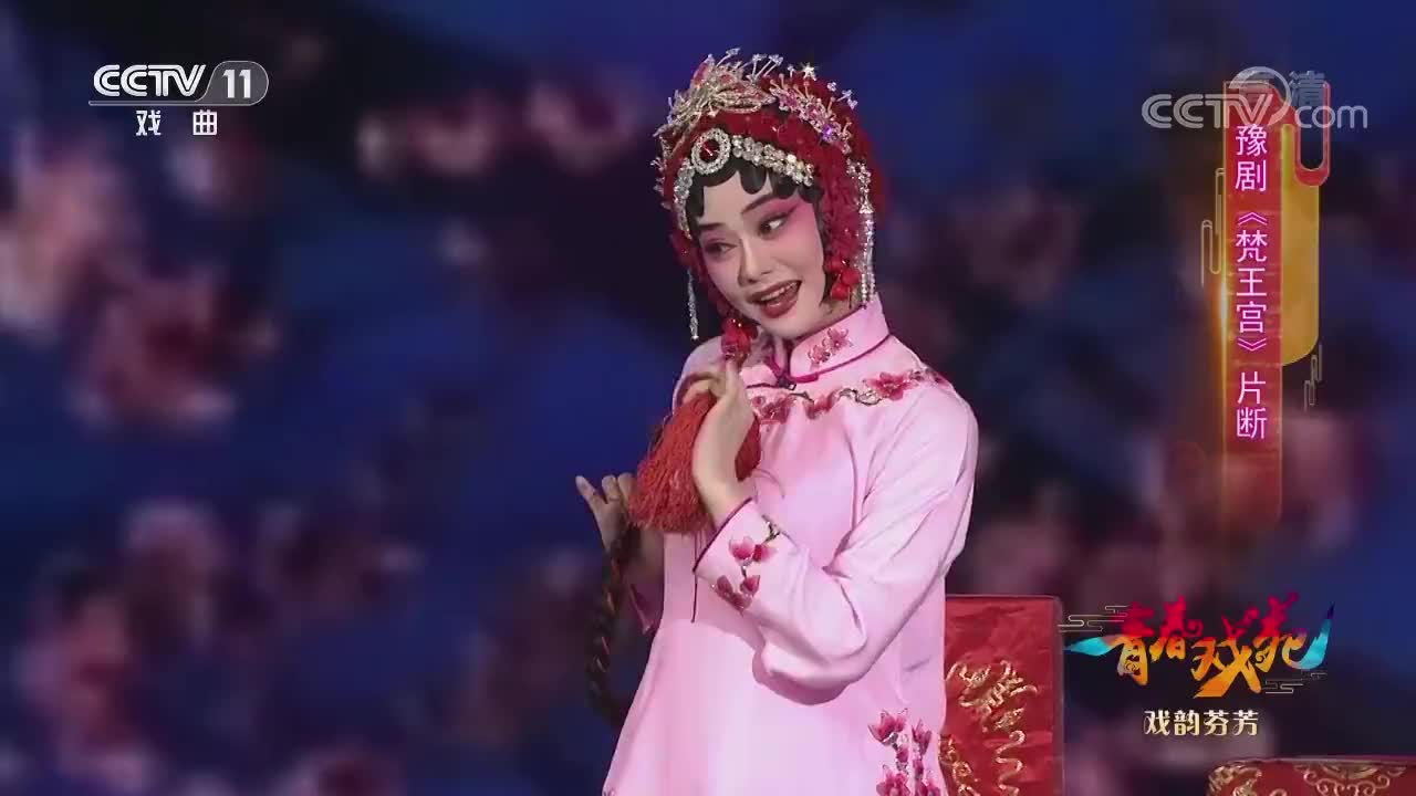 豫剧《岳母刺字》选段 王惠:叫一声鹏举儿听娘训讲丨梨园春