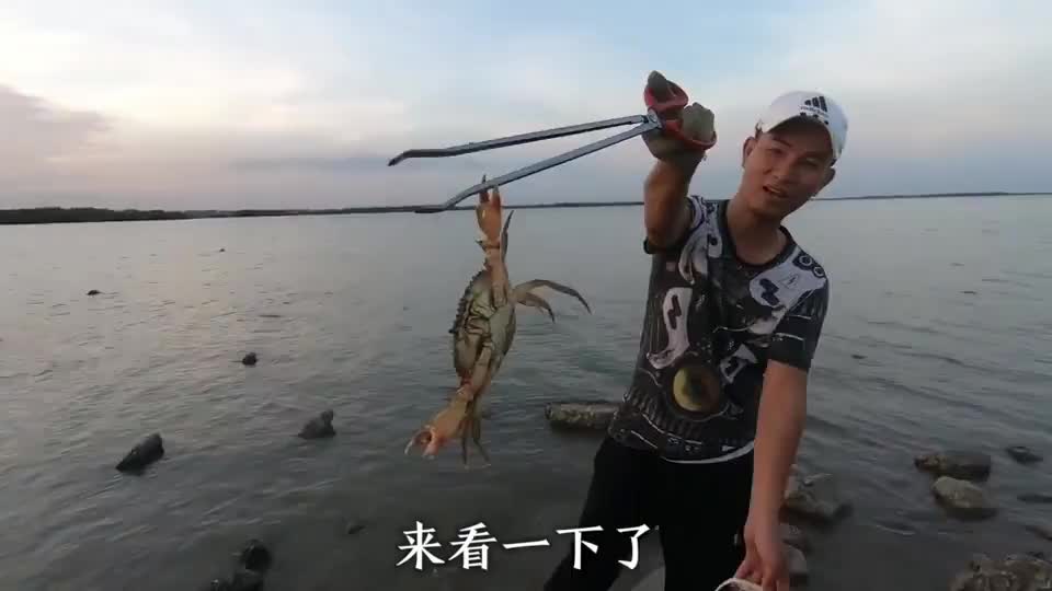 小倪赶海发现海虹搁浅区,大量海虹无人捡