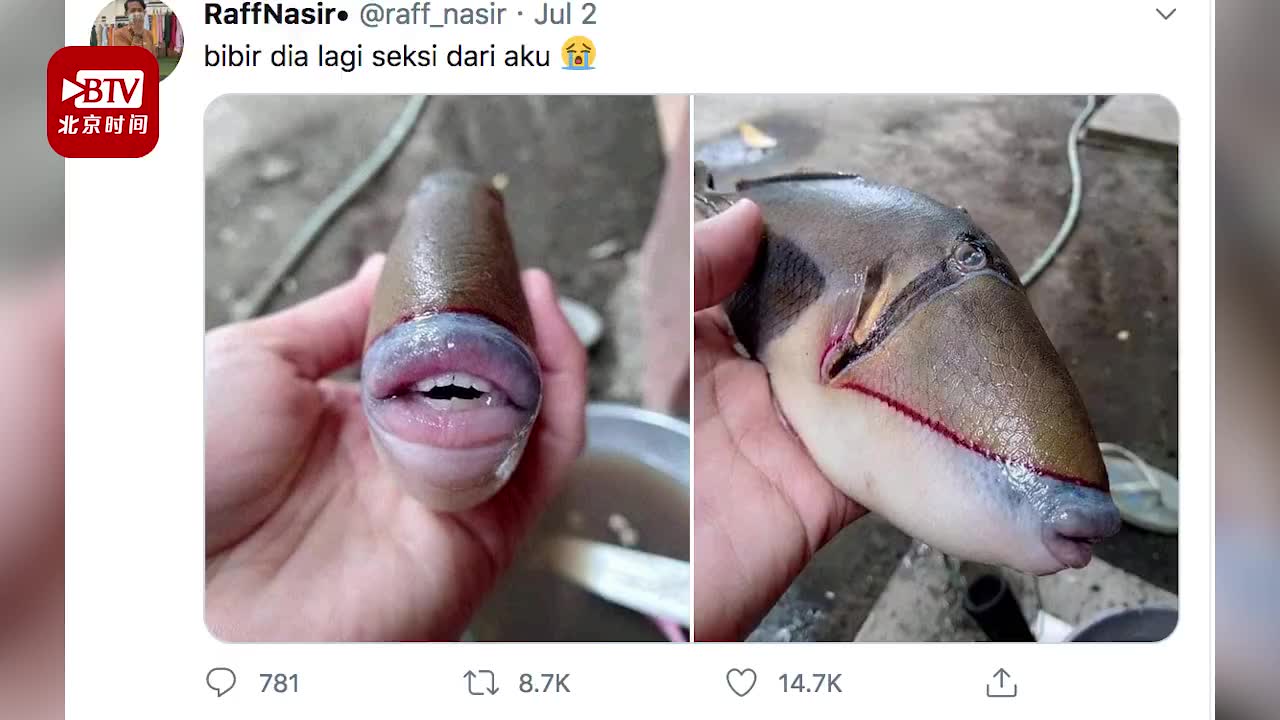 马来西亚前国手林佑绅:如何劈杀对角,劈杀直线,手指发力是关键