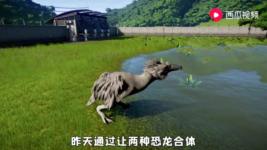 疯狂动物园 驯服最后一只翼龙"燃烧翼龙"