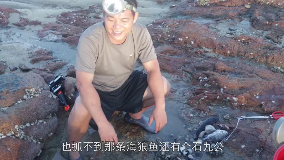 小明带村花赶海抽水坑,发现村花捡螺就跟捡豆子一样,又发财了