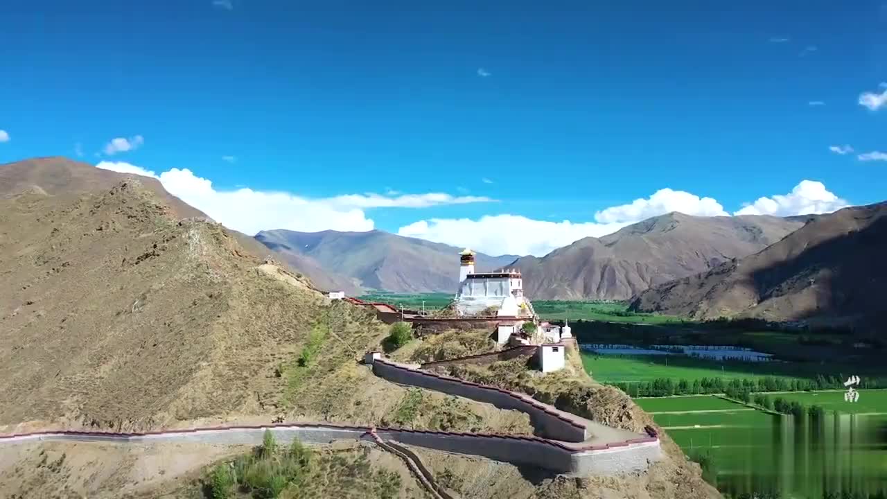 灰太狼来到奇花镇,本想直奔宫殿,却被藤蔓打下来