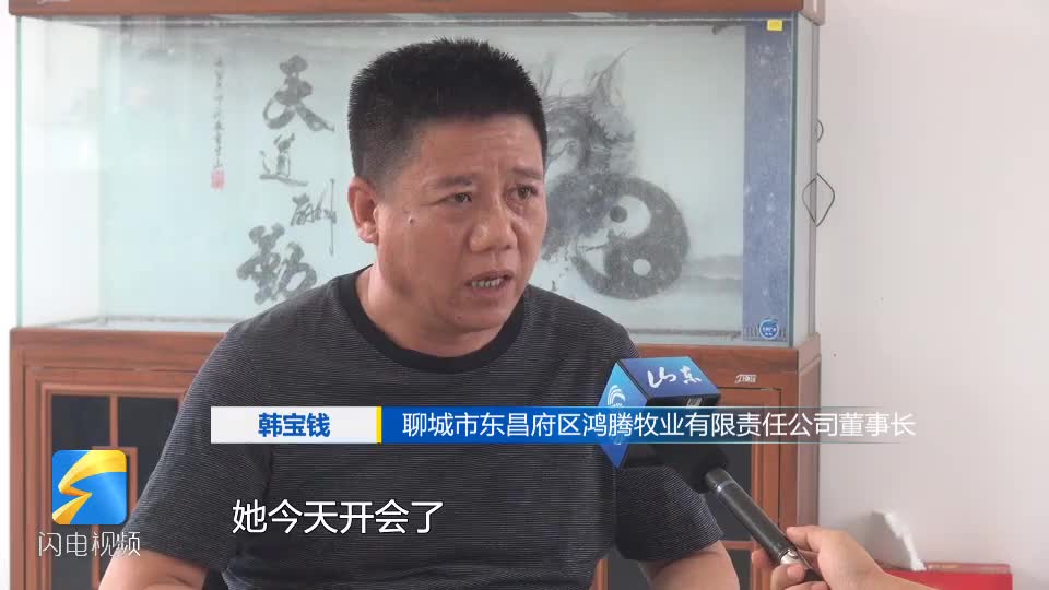 聊城郑家镇政府工作瑕疵致千万投资搁置