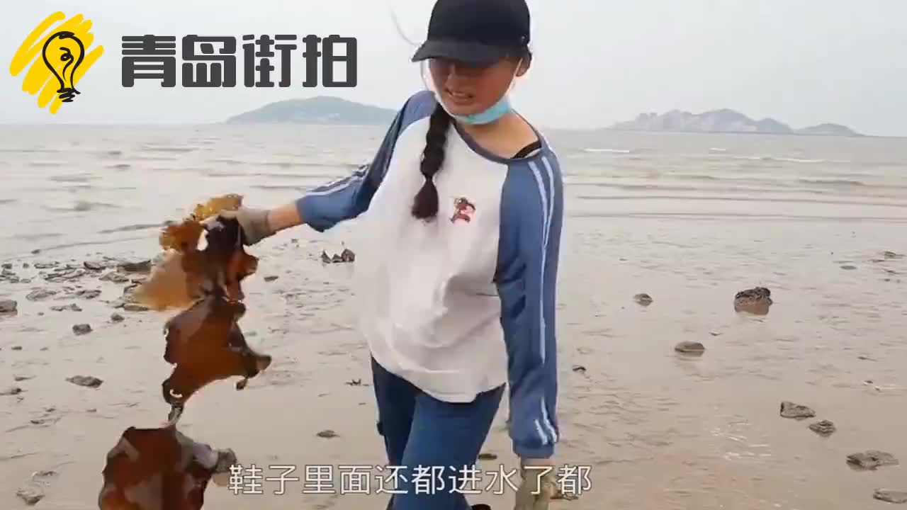 海边大浪让海货无处藏身,小川跳进水坑抓个够,这么大的太少见