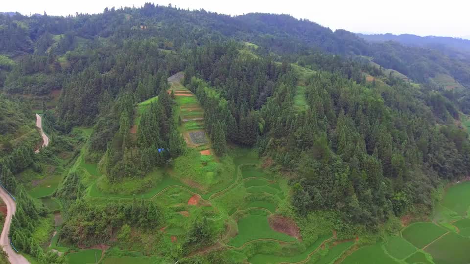 此地龙脉环绕龙穴天然形成完美格局主发文武的风水宝地