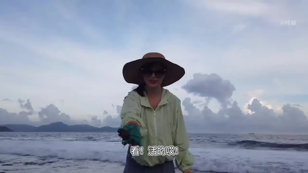 小母蟹意外怀孕大梅赶海放回大海让其自然生产遇到大梅真幸福