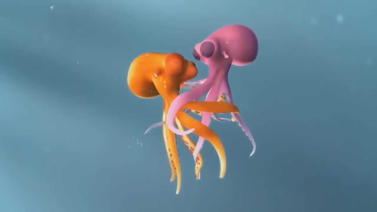 奥斯卡提名经典动画短片《章鱼的爱情》