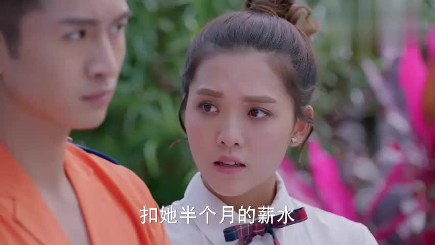 神犬小七2:欧叶送便当,瑞莎送零食,鲍宇左右逢源无福享受