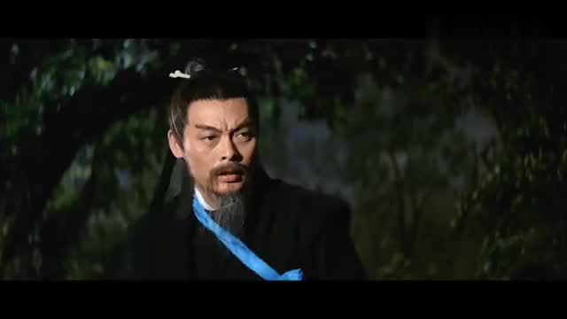 经典武侠电影:白眉和尚功夫了得,招式凌厉,不愧是达摩院首徒
