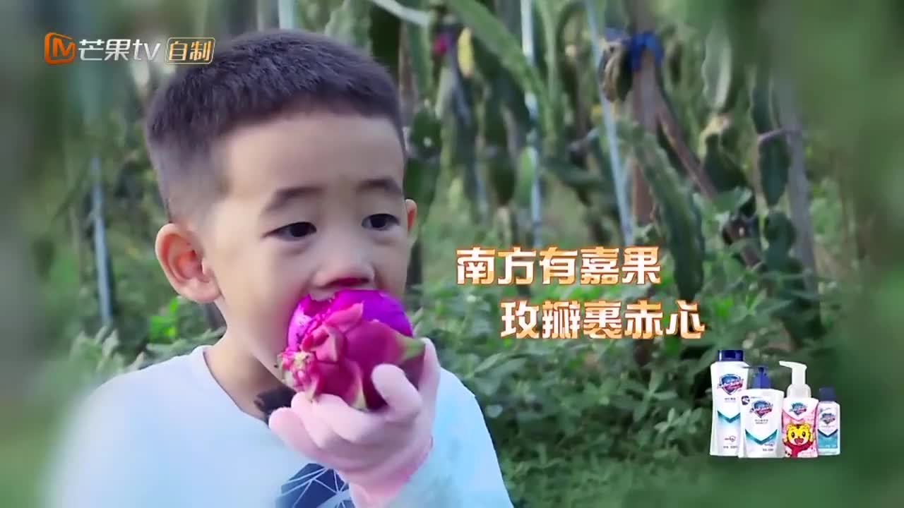 jasper"火龙果"表情上线啦, 吃还是不吃