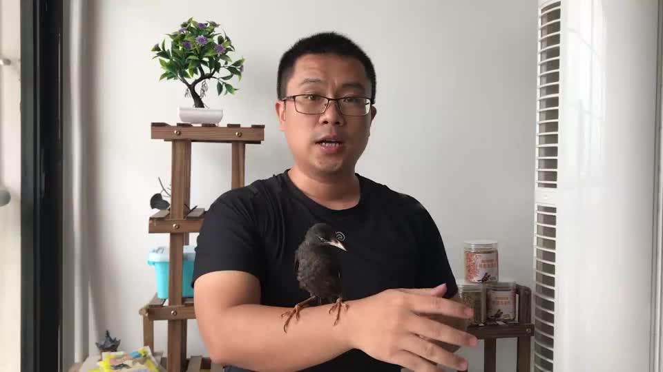 余钦南和八哥现场比美,八哥无奈了:我长得随妈了,这俩人太逗