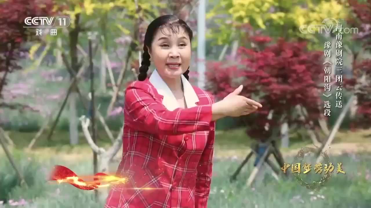 豫剧《朝阳沟》选段,杨红霞老师把银环演活了,超越不了的经典!