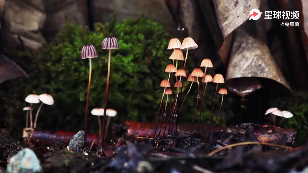 陈冰冰与恒大地产集团安徽公司董事长姜志辉一行举行座谈