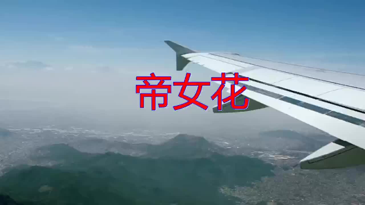 一首《帝女花》,可以说是十分惊艳了,唱的真棒