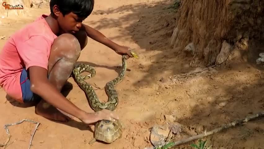 动物世界:羚羊被狮子伏击,在0.1秒内做出假动作!