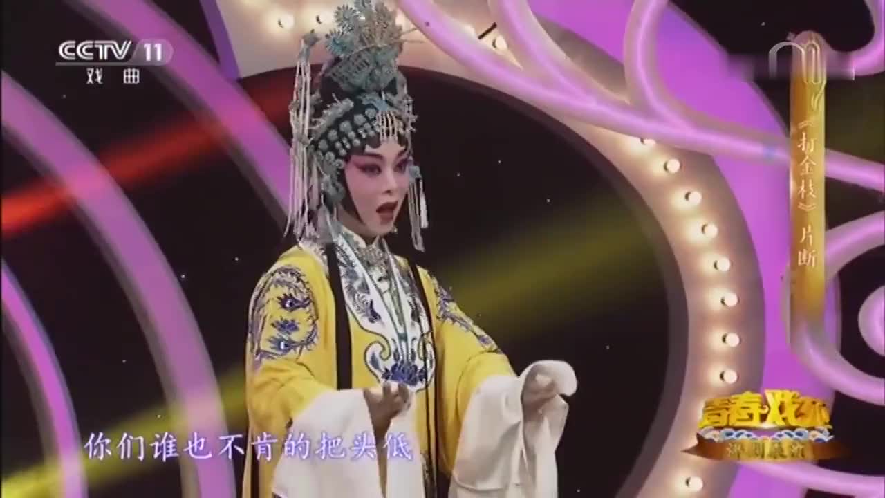 豫剧《打金枝》选段,李凤兰,申桂兰精彩唱段,给公主赔罪!