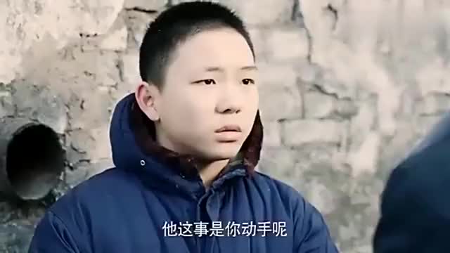 情满四合院:傻柱和寡妇结婚,死对头许大茂使坏,对她儿子下手