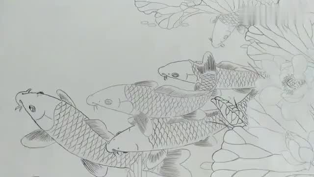 工笔《连年有余》白描稿收尾了.