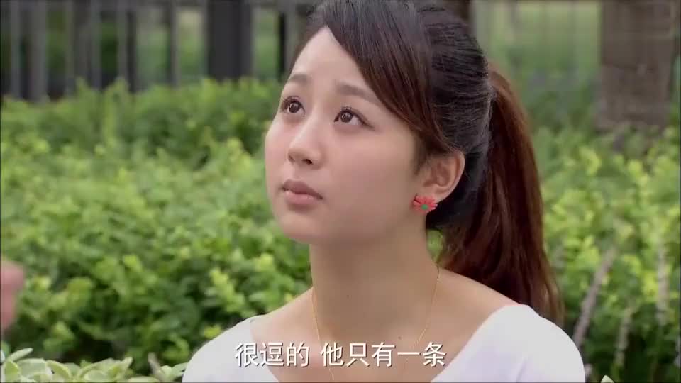 心术:杨紫和老伯pk,结果被洗脑了,帅哥及时英雄救美,超给力