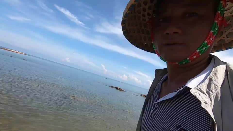 阿彬赶海碰到食肉蟹群,围在一堆分食大黑鲷,后半截身子都吃没了