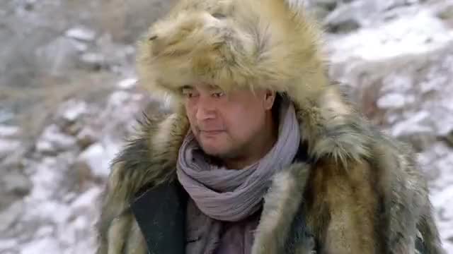 林海雪原郑三炮于登科刺杀少剑波少剑波身中数枪快没命