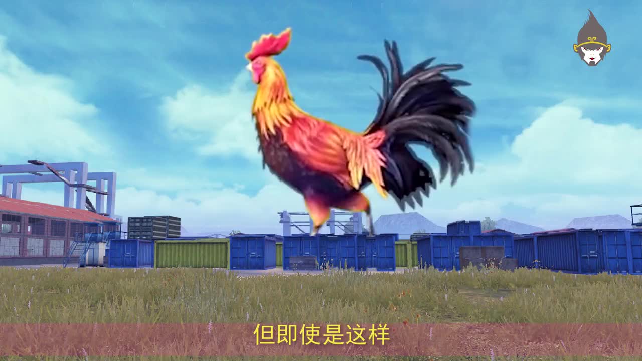 和平精英:挑战淘汰6只圣诞小鸡,用小鸡物资吃鸡,爆出awm!