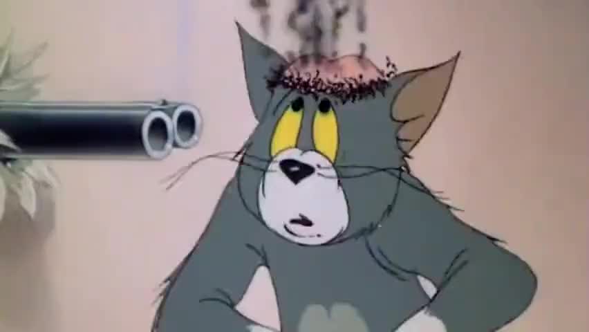 猫和老鼠黑猫和汤姆抢母猫,汤姆让他亲老鼠夹,太搞笑了