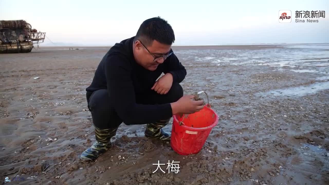 太辣眼了!大梅川子pk赶海抓海瓜子,川子失利接受惩罚,画面太美