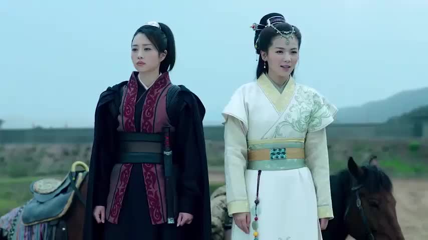 琅琊榜:刑部尚书之位空缺,梁帝正发愁,忽然想起了蔡荃