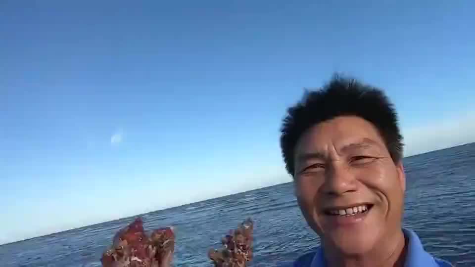 阿彬赶海发现一片螺窝,被一群蟹王"围攻"啃食,全部一窝端