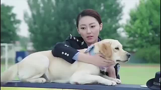 警花与警犬:倪娜与姝寒互换警犬,这一段太感人了,温馨感十足!