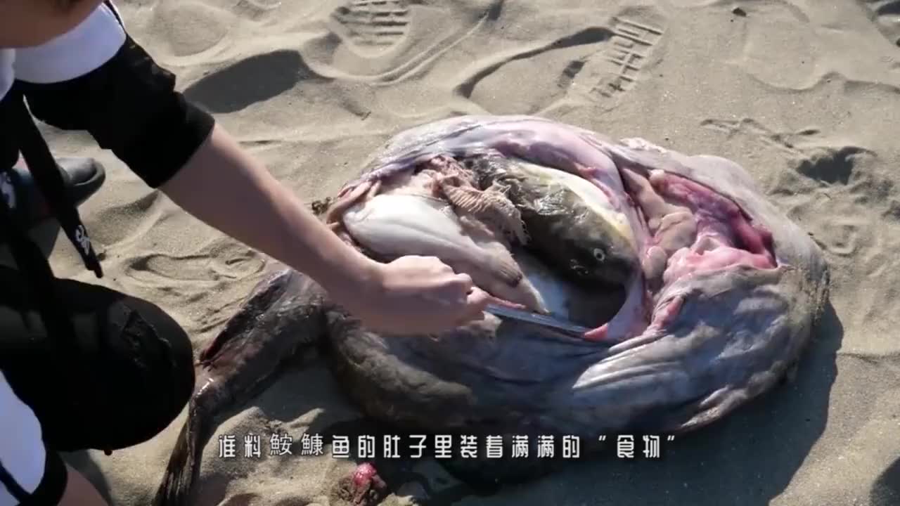 美女肚子变大,不料发生神奇一幕,这下惨啦