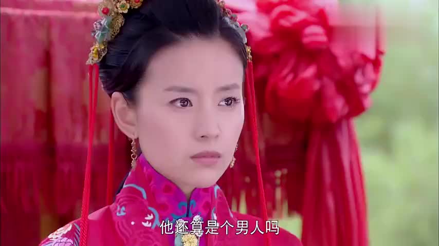 美人如画:玉凤帮徐恨抢亲,让徐恨带嘉沅和孩子远走高飞