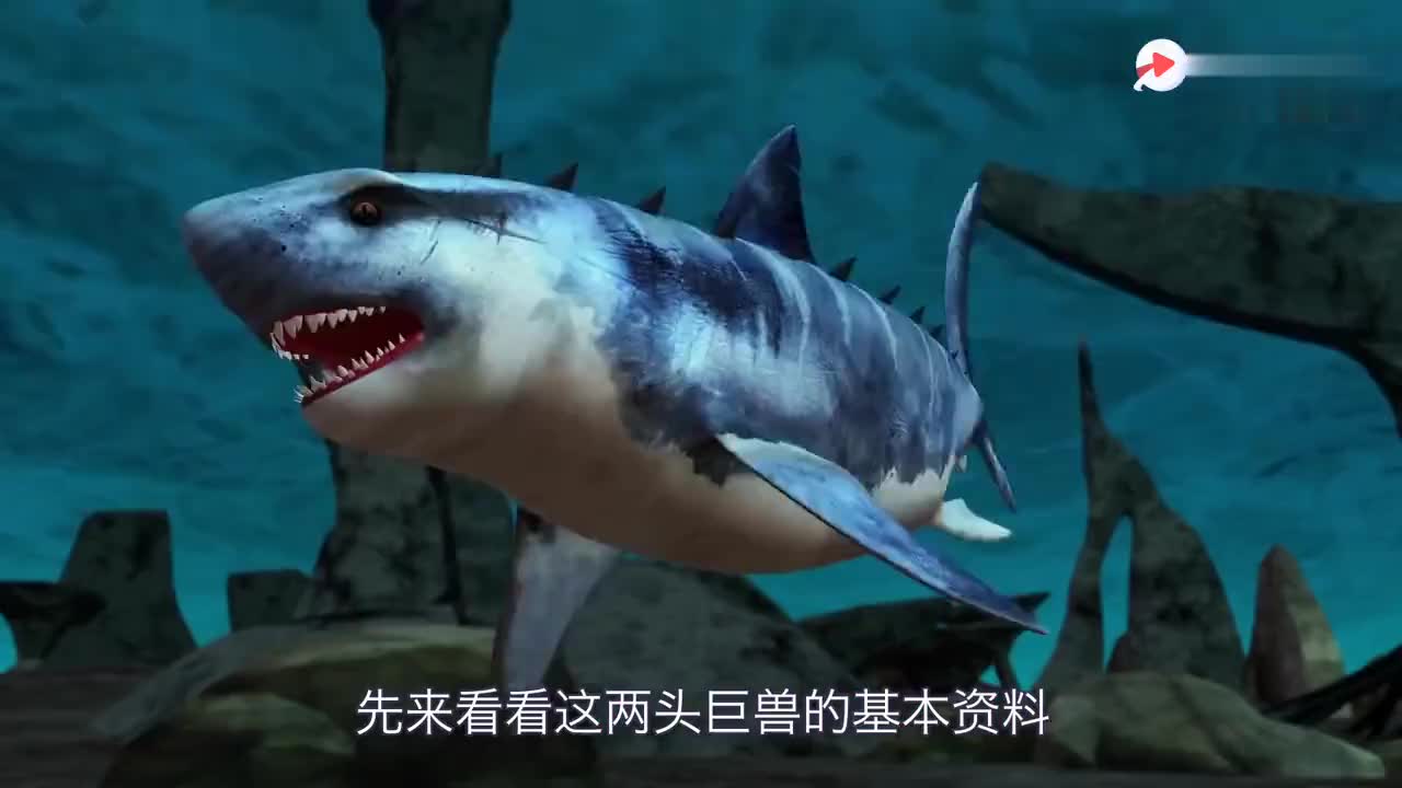 史前海洋可怕生物巨齿鲨和沧龙,若正面交锋,谁是最后的王者?