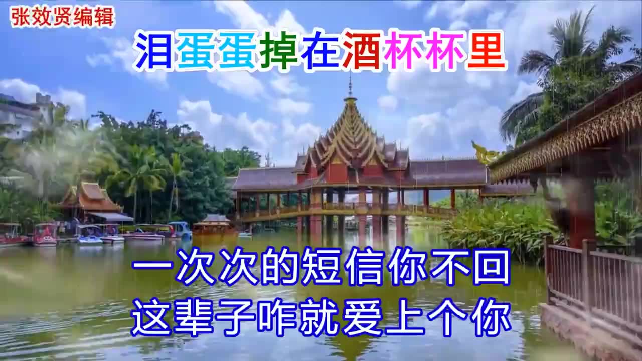 一首好听的歌《泪蛋蛋掉在酒杯杯里》