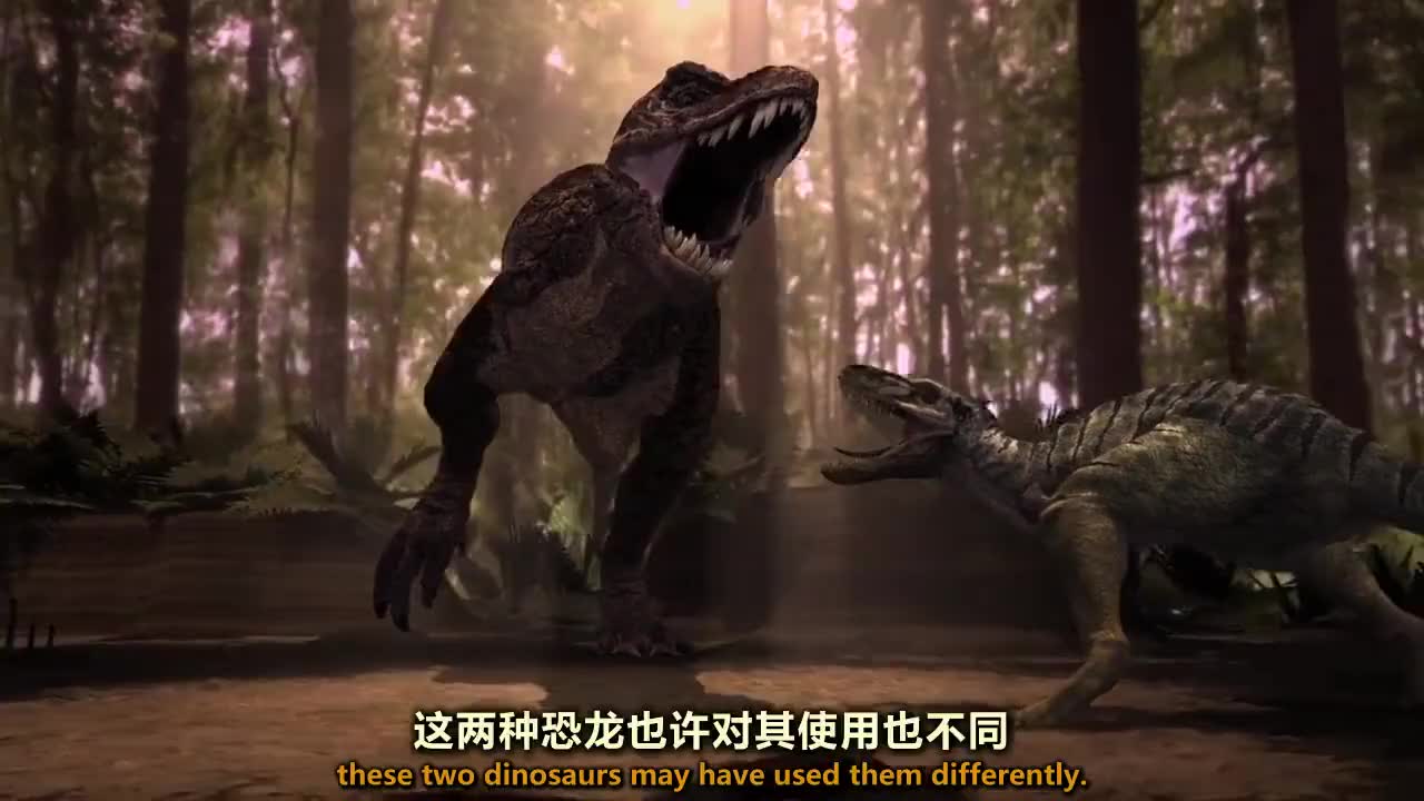 《黑拳》暴龙哥名不虚传,一拳破墙,没一个敢说话的