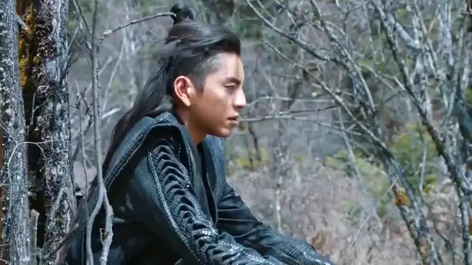 陛下地质问和摘星的过往,渤王如实向陛下说了,与摘星发生的事