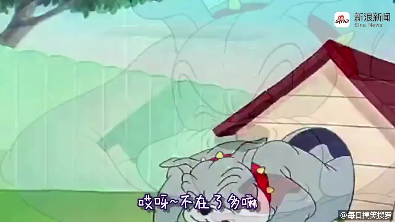 爆笑配音当动物成精讲四川话笑的肚皮痛