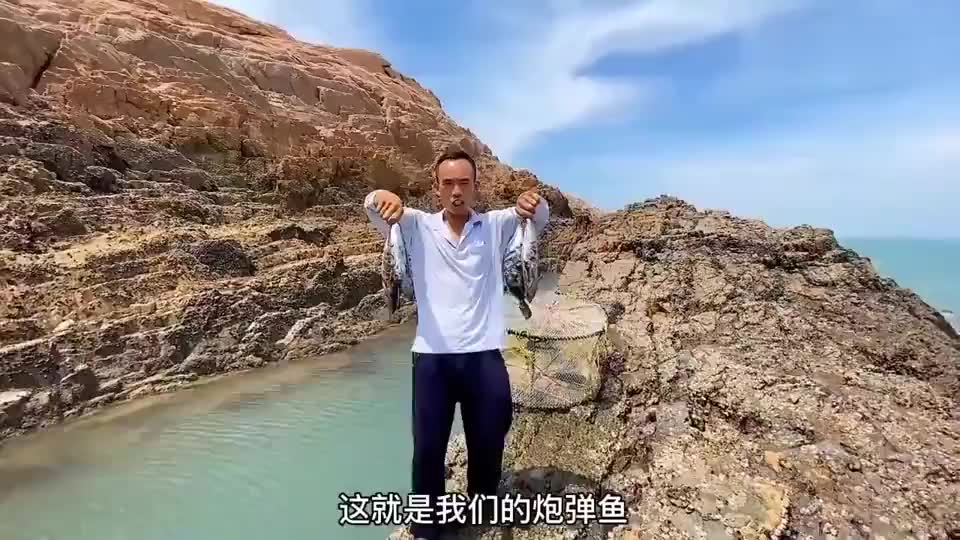 开海后大八爪鱼跟小八爪相继出没大梅赶海轻松收获回家就做熟