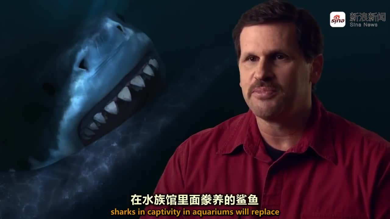 称霸海洋的顶级掠食者,猎杀一切海洋生物,包括巨齿鲨?
