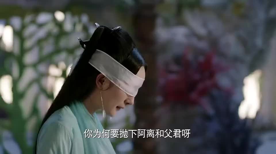 白浅说此去东海路途遥远向迷谷索要一根树杈子指路!