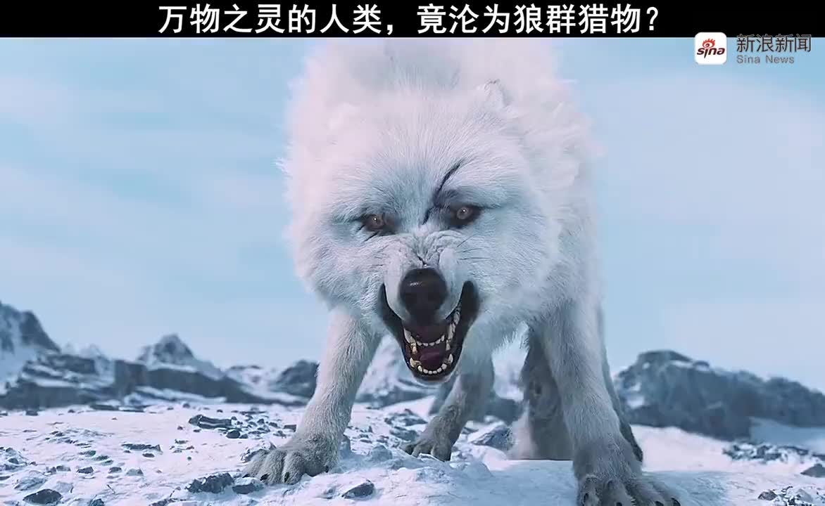 你是我奋不顾身,拼了命也要保护的人 昆仑神宫