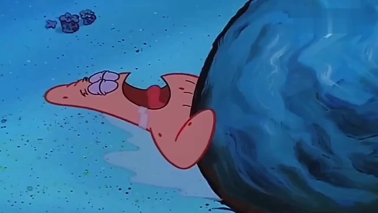 晚安,派大星!这样也能睡得着?神经大条啊!