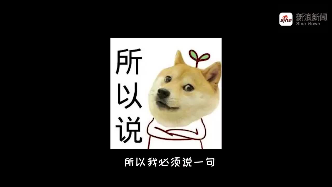 狗子智商没救了,中午大太阳还在外面躺着,你们忍住别笑!