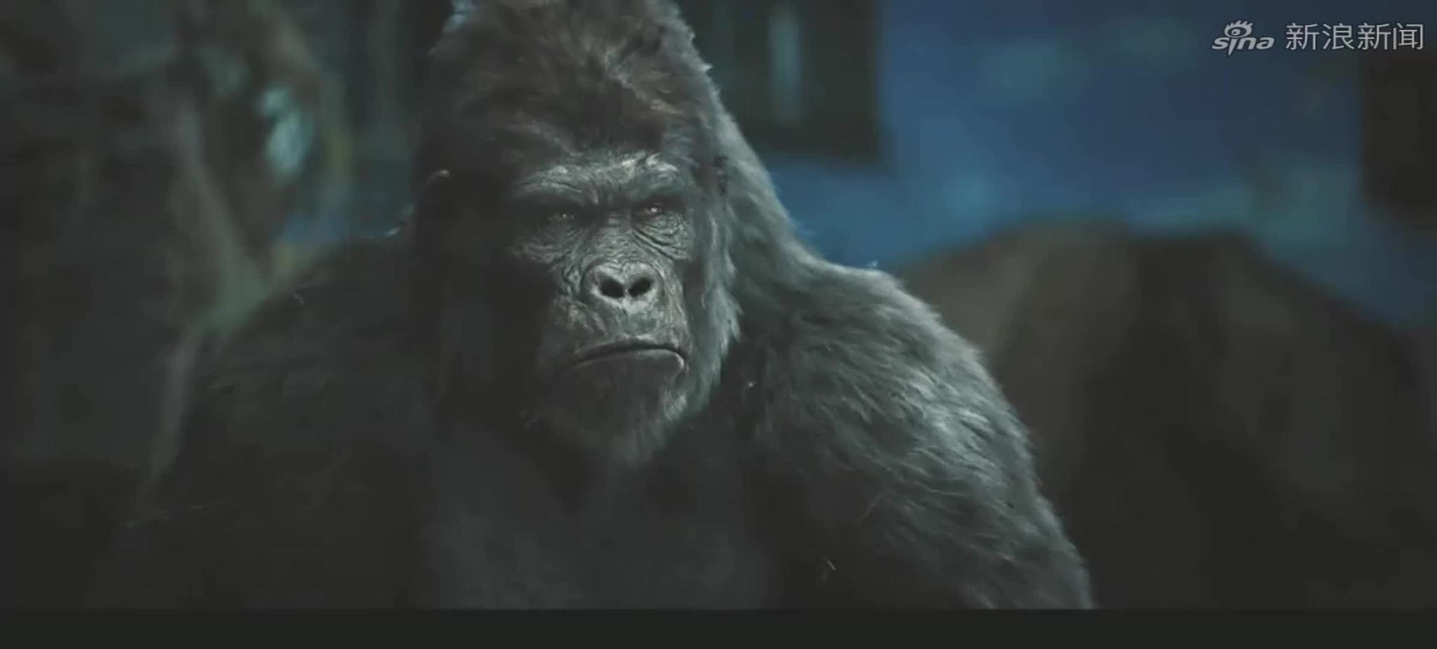 密使:原来巴克是条小狗啊,明辉揪着的心成功放了下来