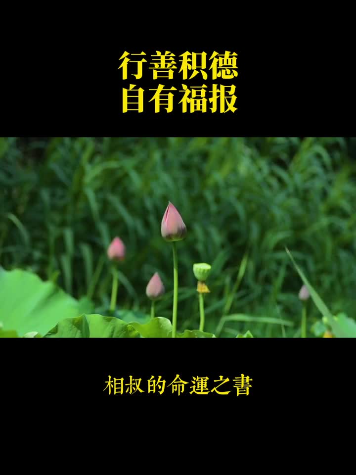 你尽管善良,福报都在来的路上