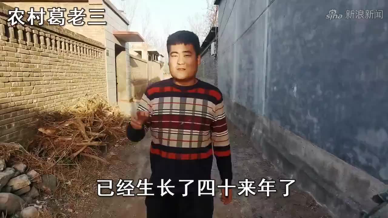 小两口因彩票中奖分配问题,一怒之下把彩票烧了,结果真中奖了