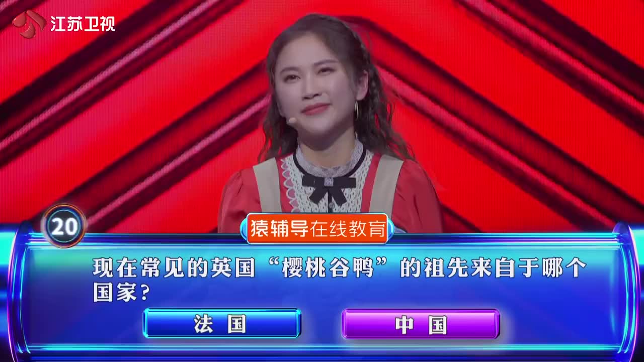 老熟人吴菲再次来到一站到底,这位南京"潘西"怎么变了个样?